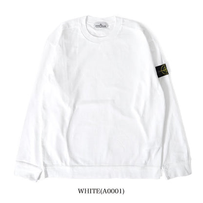 Stone Island ストーンアイランド ガーメントダイ ロンT 100075