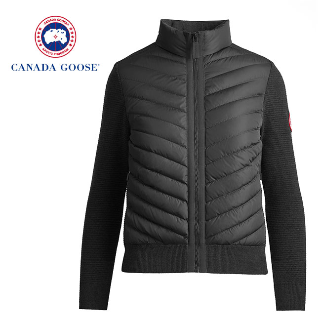 CANADA GOOSE カナダグース Hybridge Knit Jacket ニット×ライトダウン スタンドカラー キルトジャケット 6830L